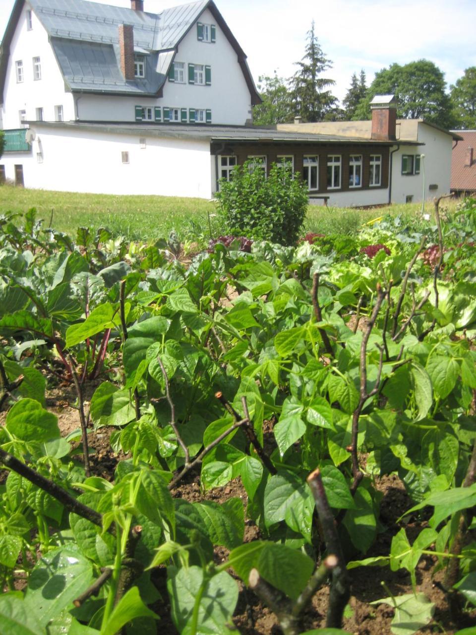Gasthof Pension Strohmaier 하이드뮐 외부 사진